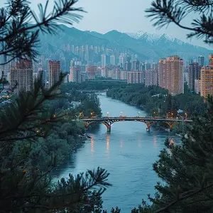 顺德美食白菜做法视频