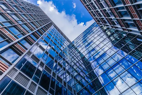 白鲢鱼美食做法